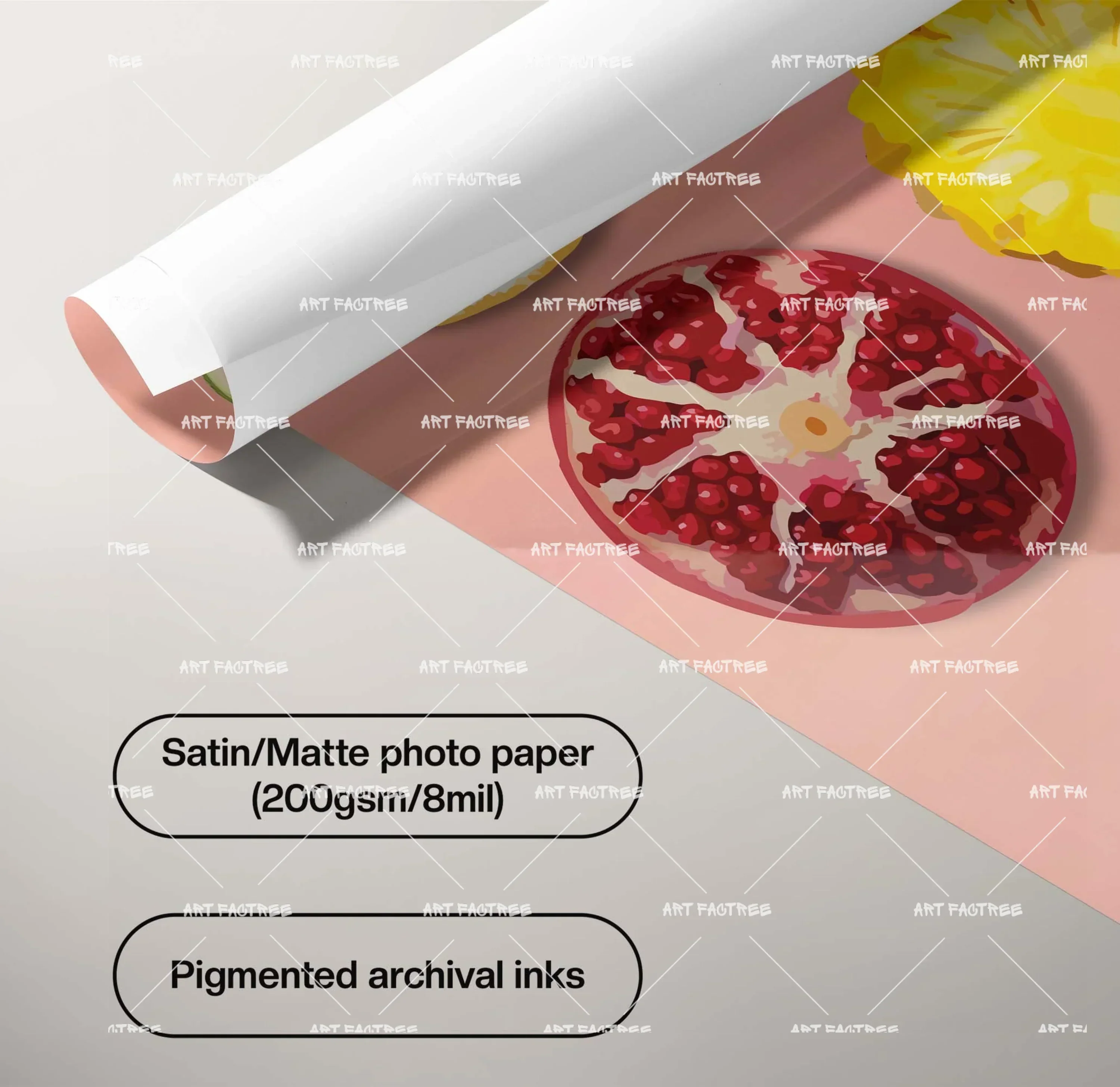 Fruit Slices (Smard X Anaya) - Image 3