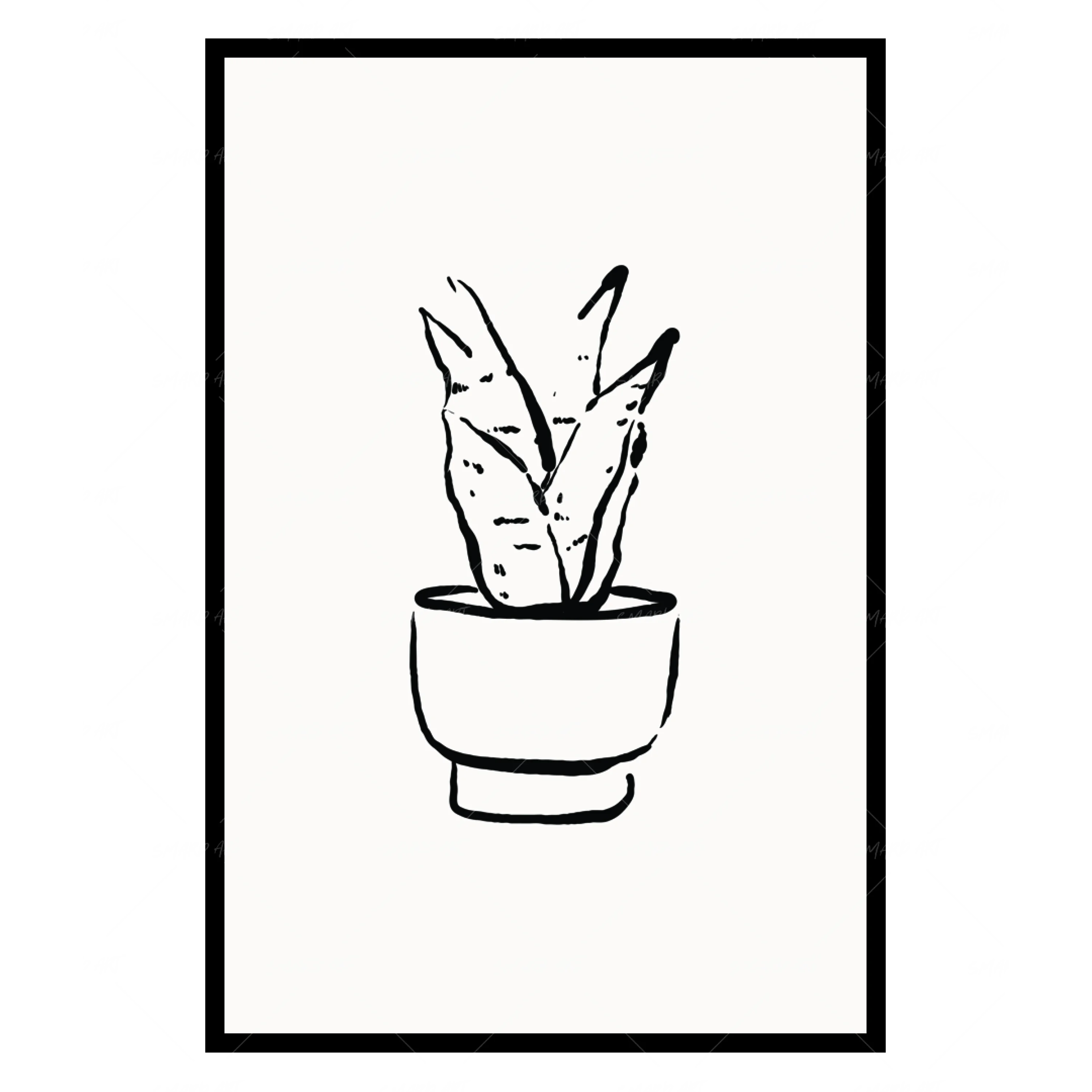 New Growth (Smard x Anaya)