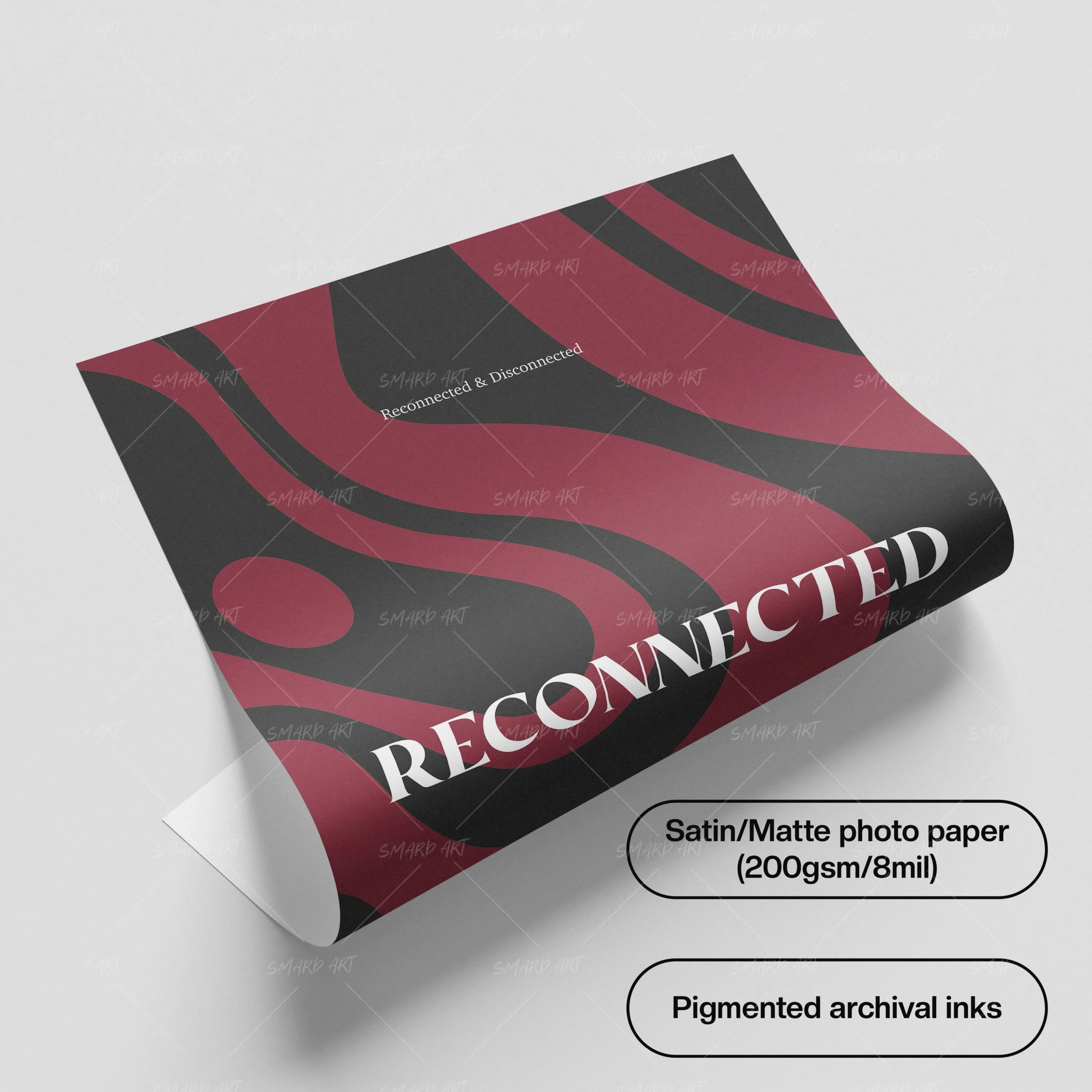 Reconnected & Disconnected - Image 3